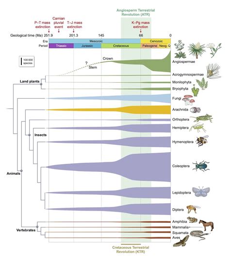 impact evolution of plants.